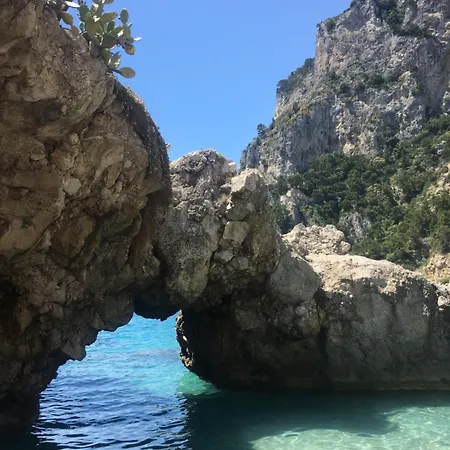 6 Small Auberge de jeunesse *